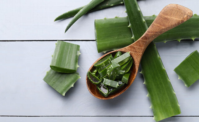 Just How to Use Aloe Vera for Stretch Marks? 6 Easy Ways!