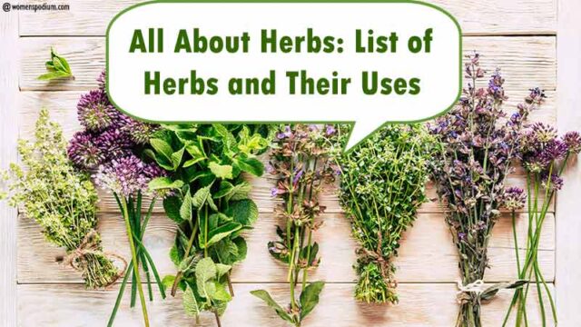 Everything about Herbs: List of Herbs as well as Their Uses