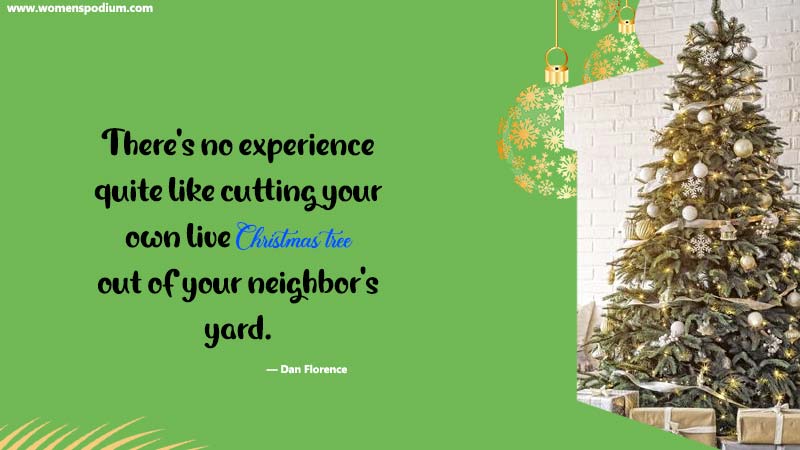 beautiful Christmas tree quotes