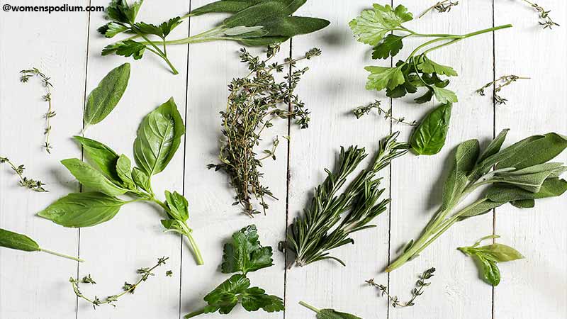 kinds of Herbs