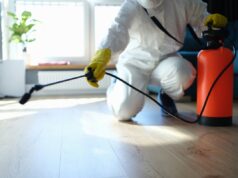 How Often to Execute Effective Pest Control Measures: A Homeowner’s Guide